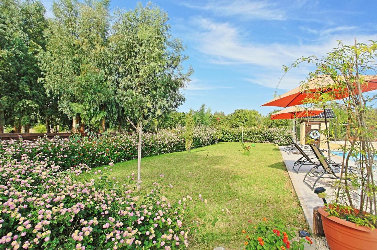 Villa Georgios Rafaela Polis Eksteriør bilde